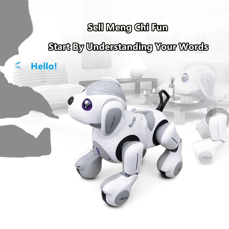 Puzzle Remote Control Robot