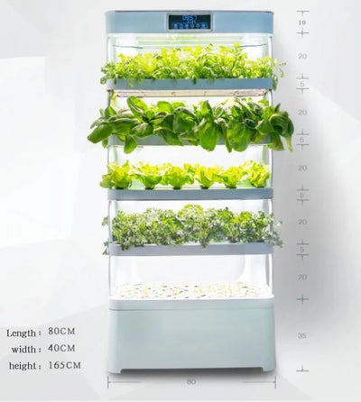 Smart Garden Hydroponic