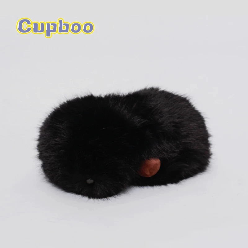 Cupboo AI Pet Robot