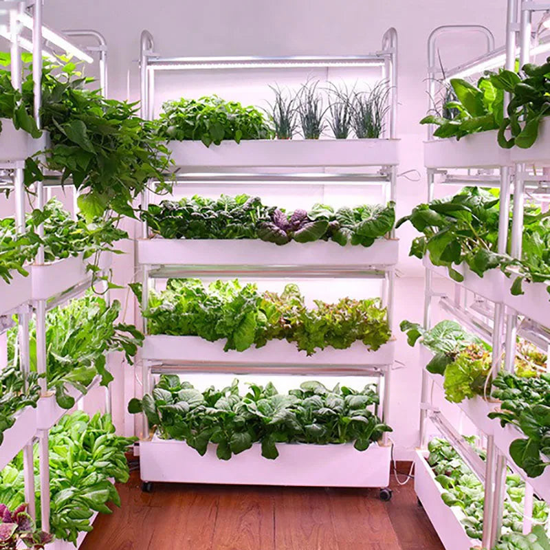 Vertical Hydroponics System