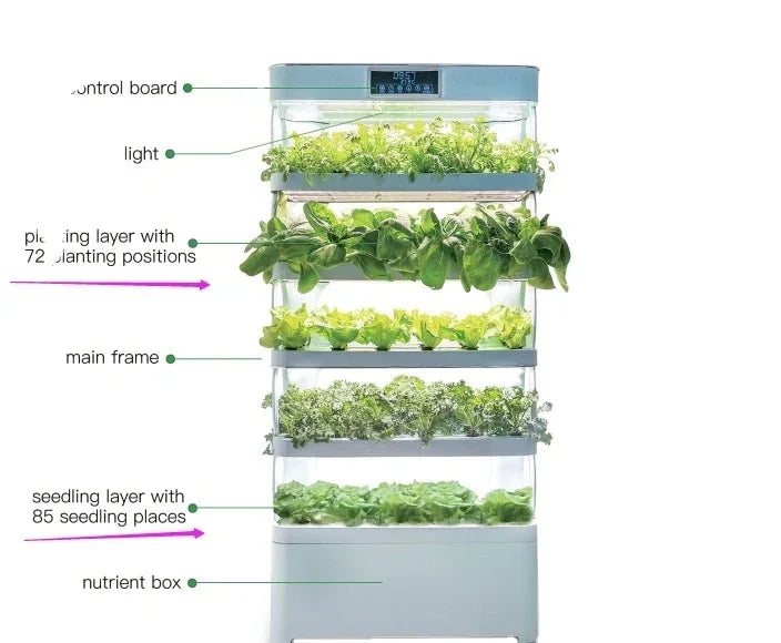 Smart Garden Hydroponic