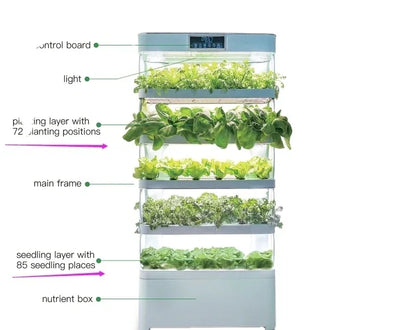 Smart Garden Hydroponic