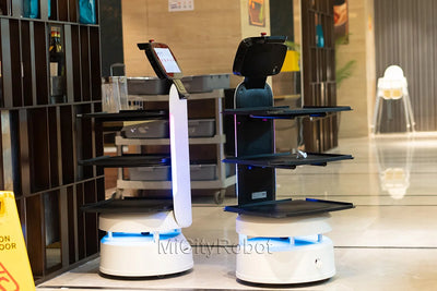 Best Selling Assistant No Contact Robot Waiter Hotel Use Robots