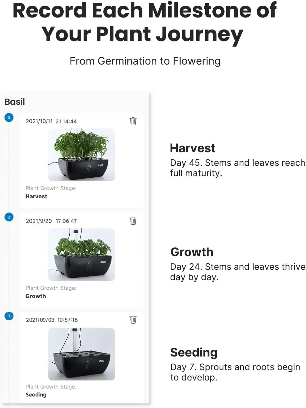 12Pods Hydroponics System