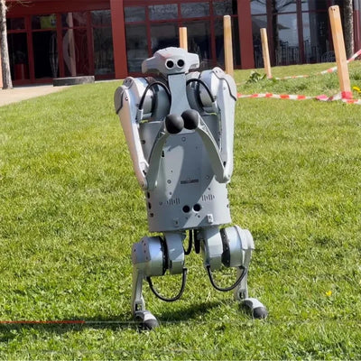 Cyclmotion Robot Dog