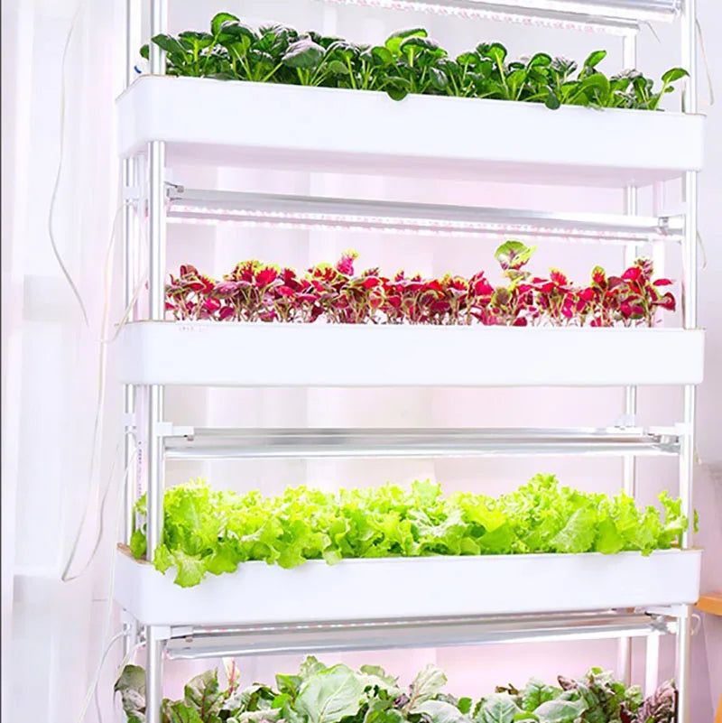 Vertical Hydroponics System