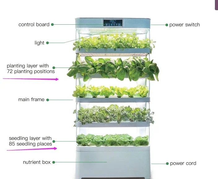 Smart Garden Hydroponic