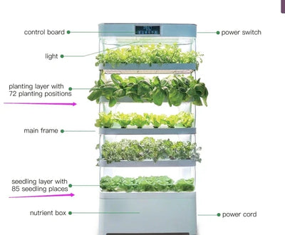 Smart Garden Hydroponic