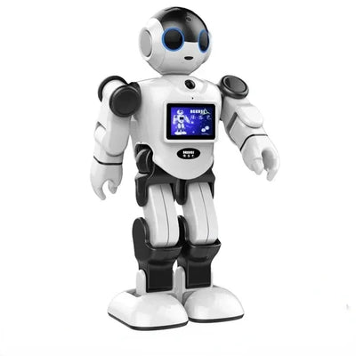 RGKNSE Humanoid Robot