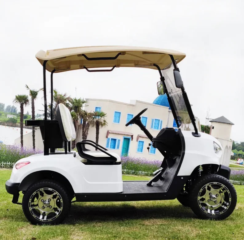 Multifunctional Electric Golf Cart Scooter