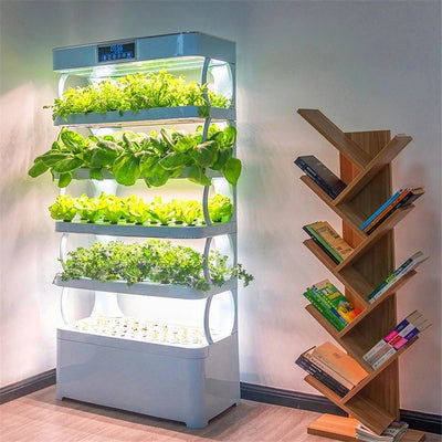 Smart Garden Hydroponic