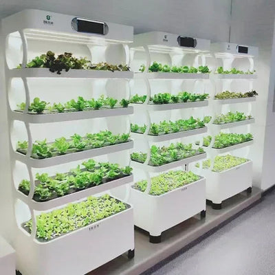 Smart Garden Hydroponic