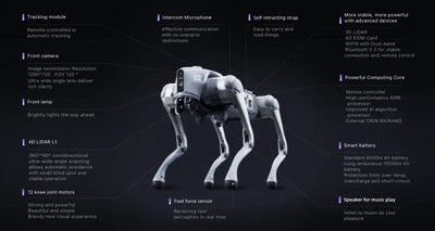 Cyclmotion Robot Dog