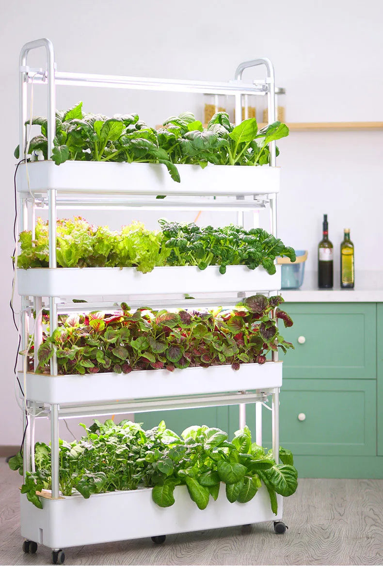 Vertical Hydroponics System