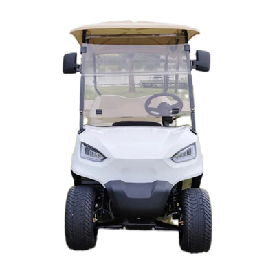 Multifunctional Electric Golf Cart Scooter