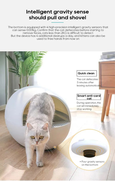 Smart Self-Cleaning Pet Toilet Robot