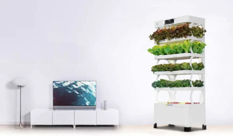 Smart Garden Hydroponic