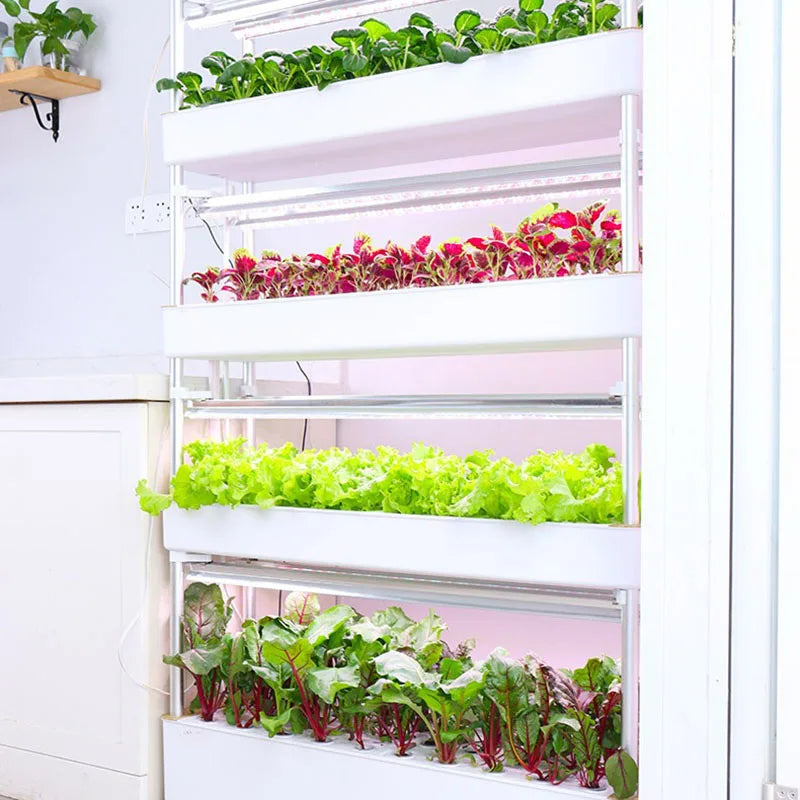 Vertical Hydroponics System