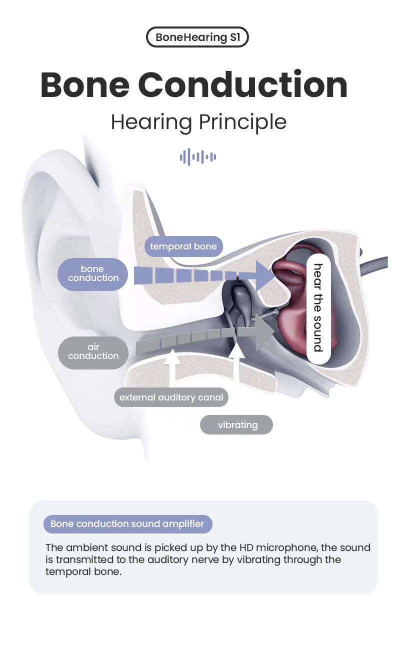 Bluetooth Hearing Aid