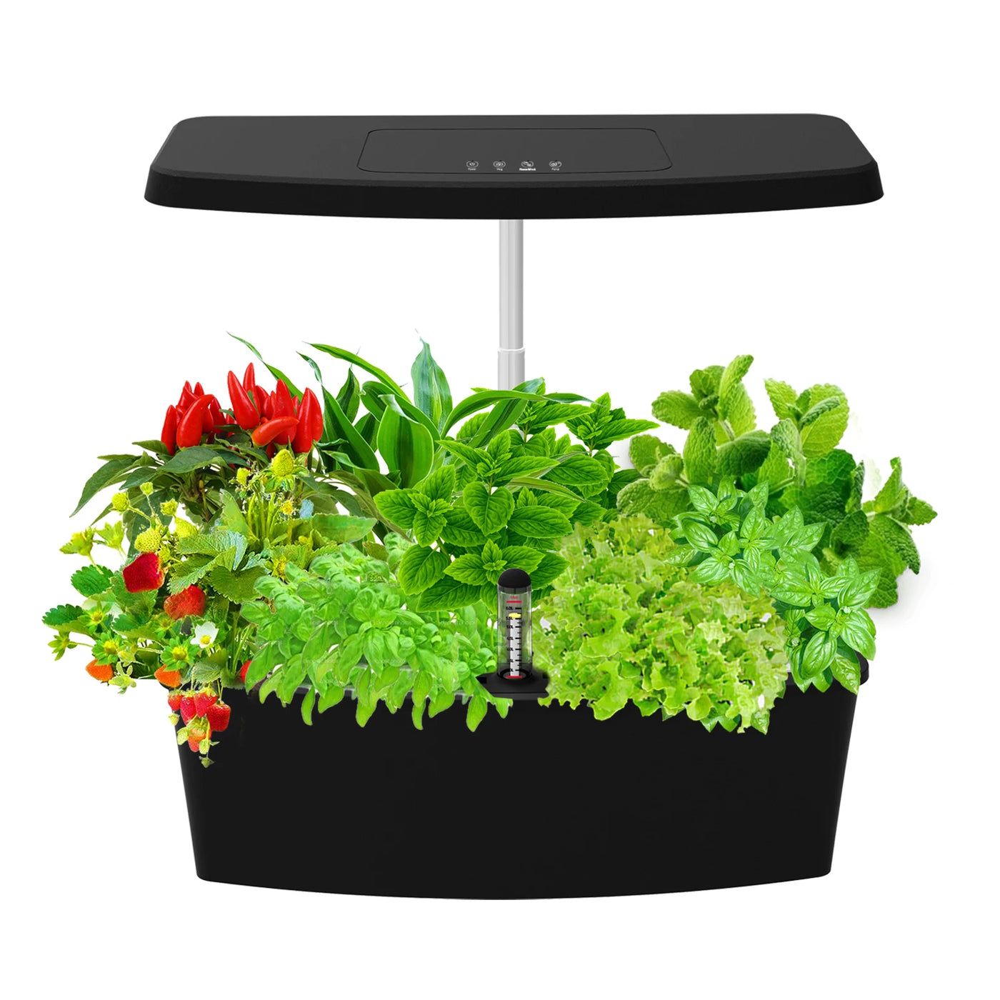 Hydroponic System